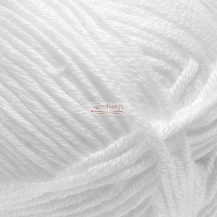 Palmera 2013 zoom.jpg