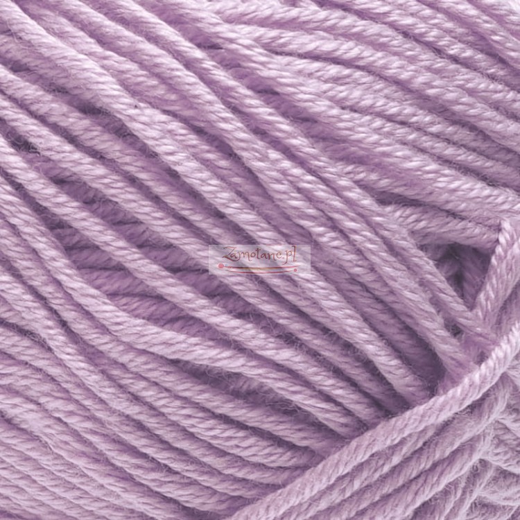 Palmera 2093 zoom.jpg