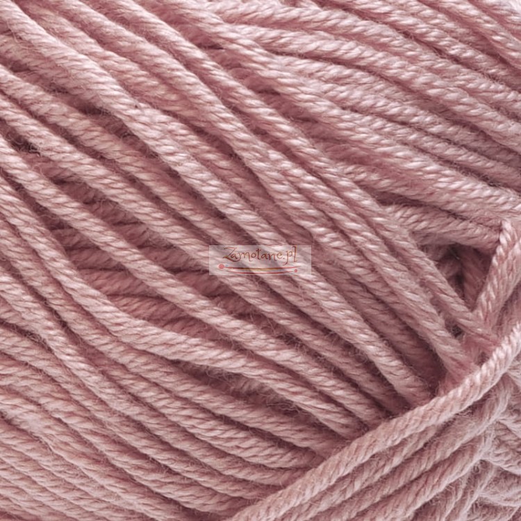 Palmera 2112 zoom.jpg