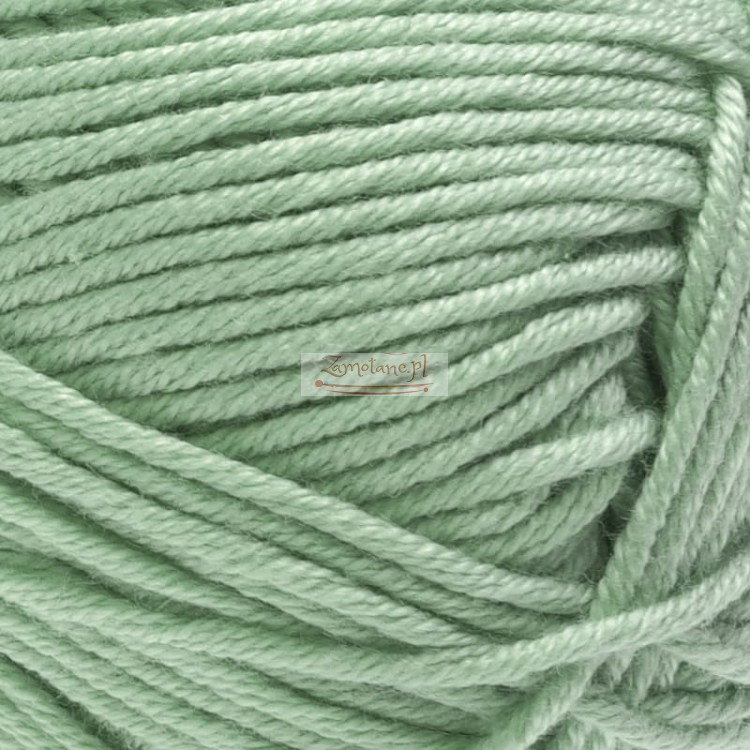 Palmera 2176 zoom.jpg