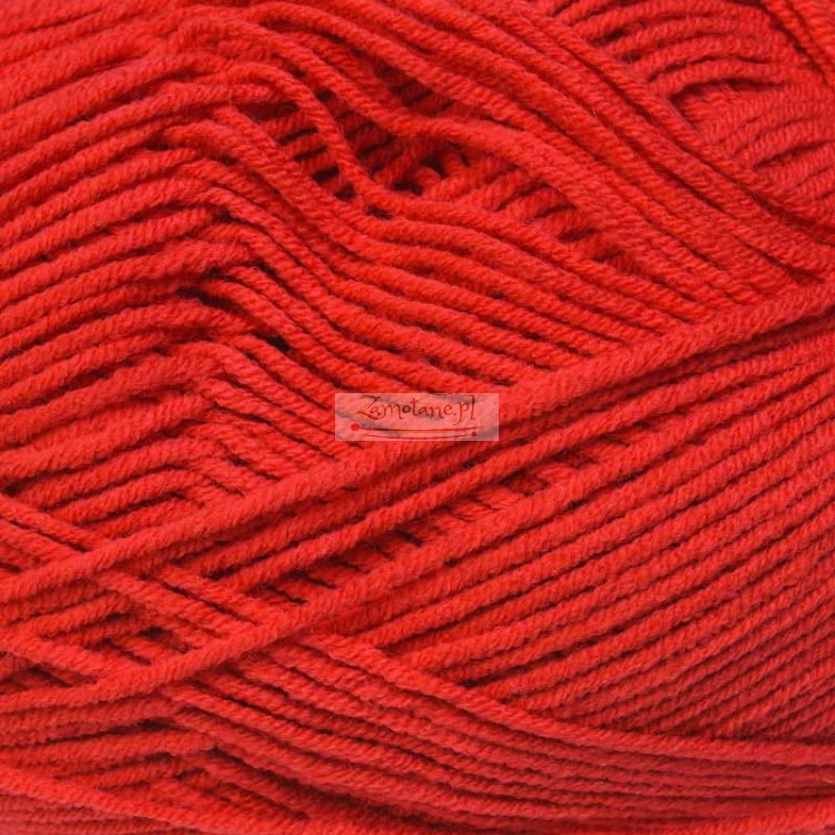 56_cotton_gold_alize_IMG_2523.jpg