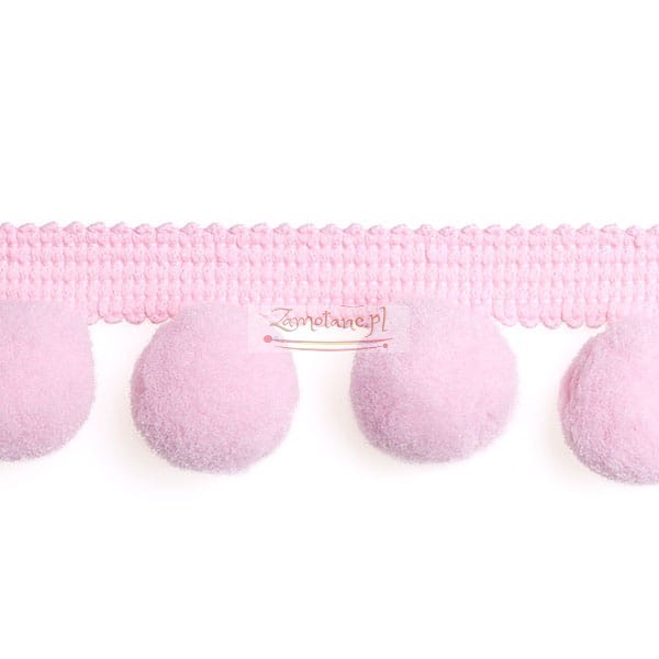 Tasma_pompon_PA40_301.jpg