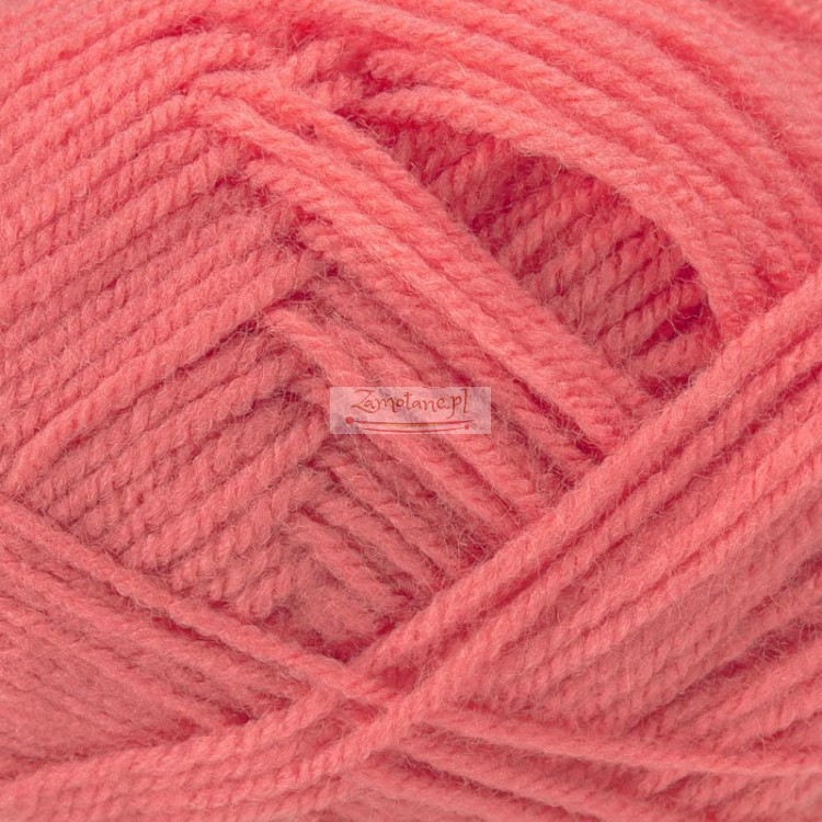 029_clover_50g_LP_IMG_4973 (1).jpg