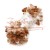puffy color 6398.jpg